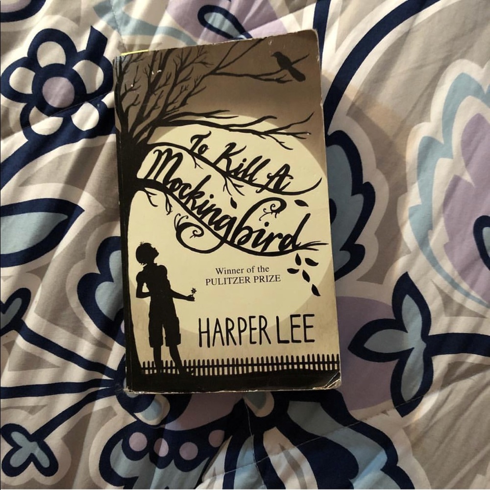 to kill a mockingbird book